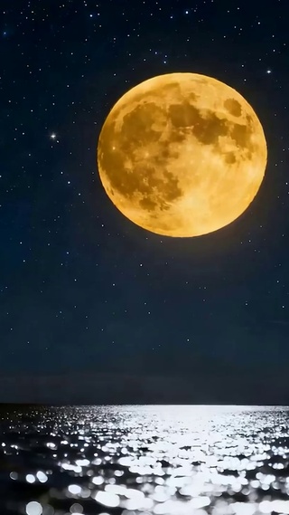月圆之夜