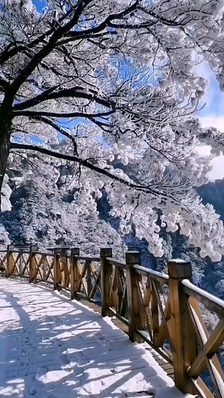 四季风景，永远在路上