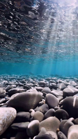 水底世界