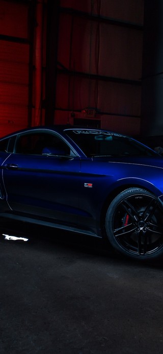 福特野马高清室内