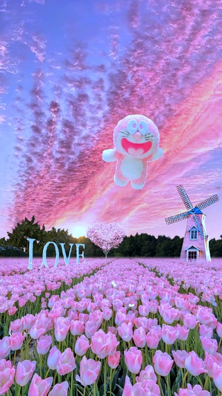 郁金香花海