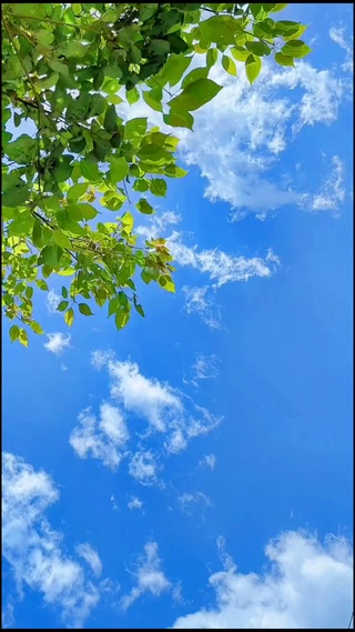 4K壁纸—等一个晴天，与你相遇