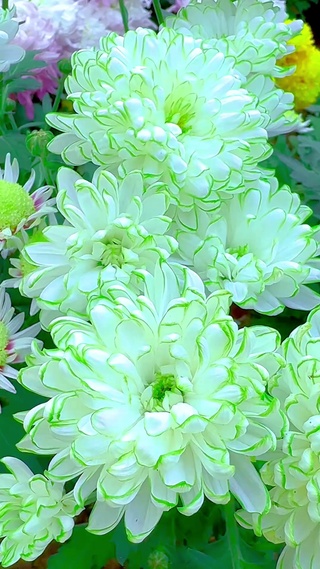 随遇而安 简单快乐