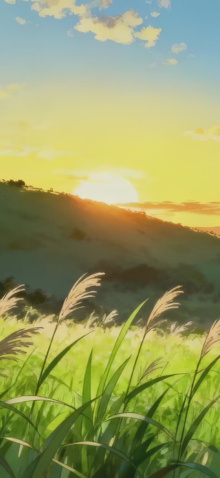 暖调护眼绿野日出