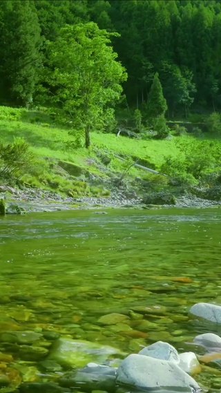 青山绿水河流