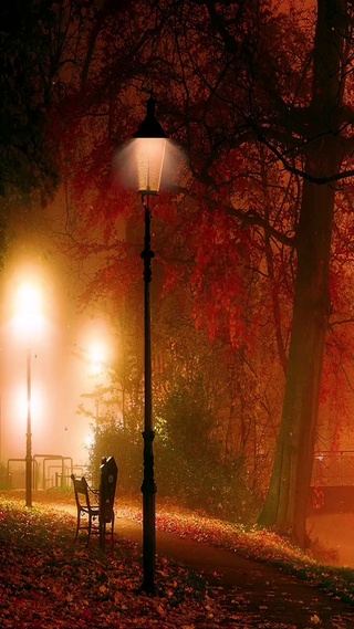 这样的夜晚，曾无数次在我的脑海里挥之不去