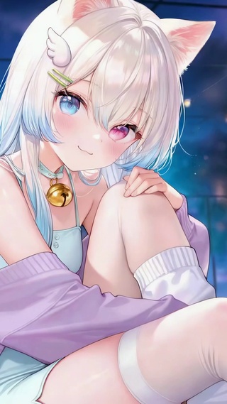 银发异瞳猫耳二次元美少女