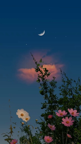 im besy. but as long as its you. im free.我很忙，但只要是你，我都有空