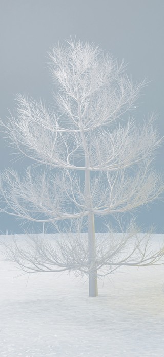 （免费）4K 冬季雪地温暖小屋