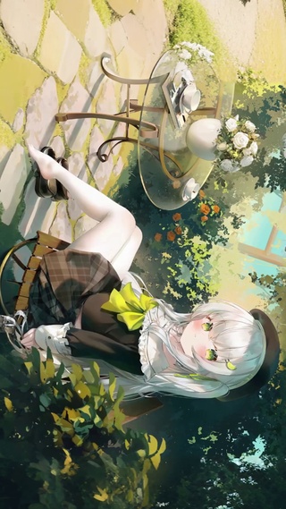 鬼针草