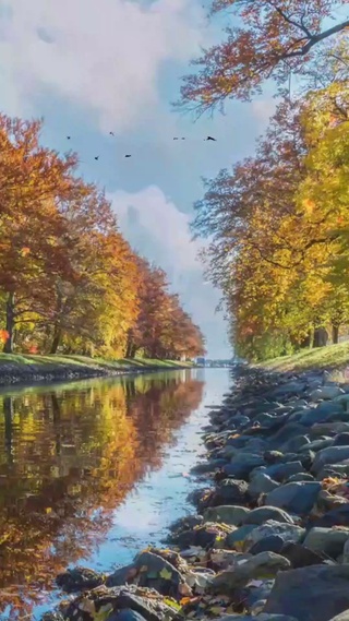 怀念秋天的颜色