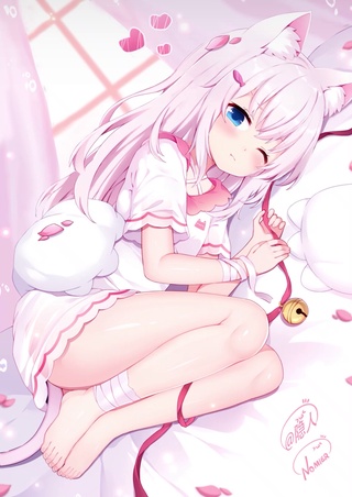 白毛萝莉