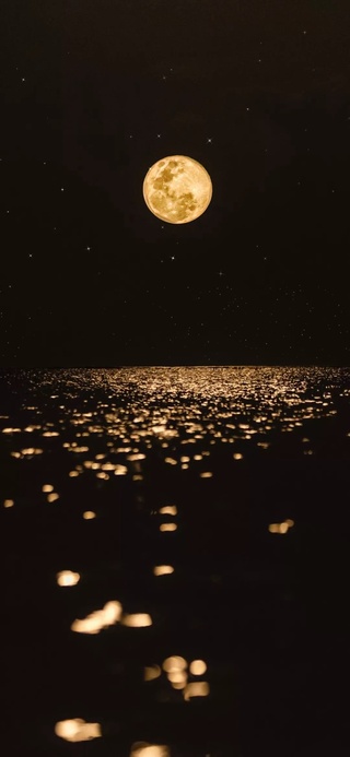 海上生明月
