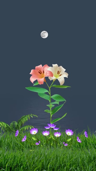 小小花