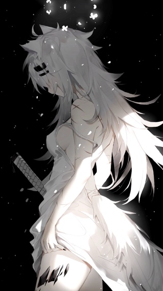 拉狗（4k简约黑白风）