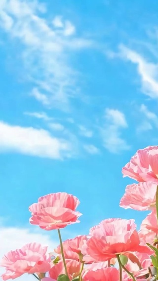 护眼花朵