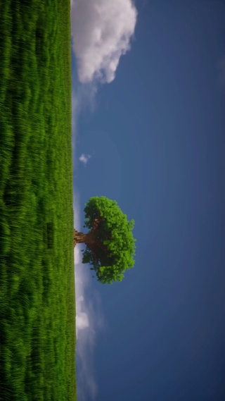 蓝天草地风景