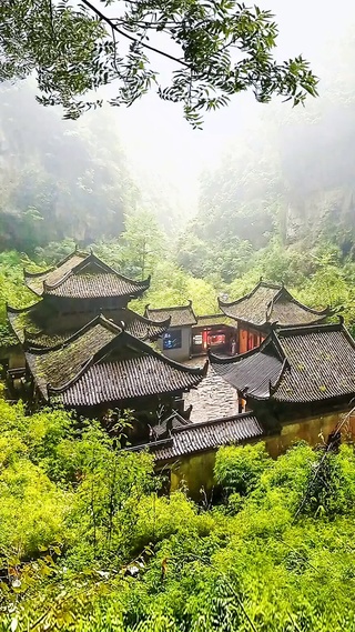 四季轮回
