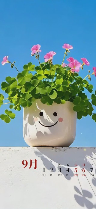 清新花盆
