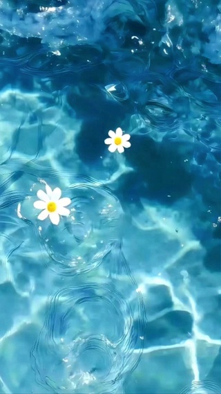 水波纹