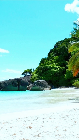 夏日阳光海滩 4K