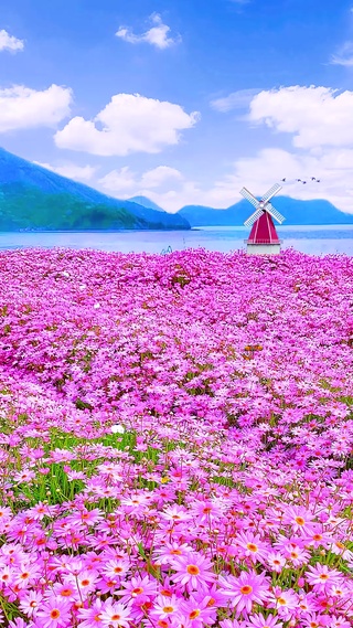 蓝天白云小红花