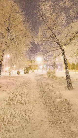 小年唯美雪景