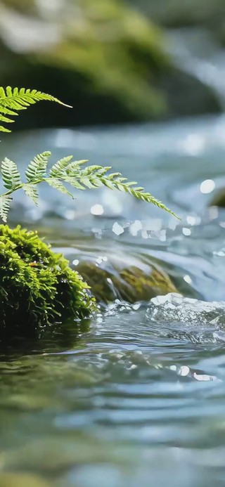 护眼溪流