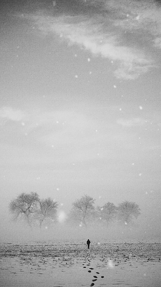 踏雪寻梅