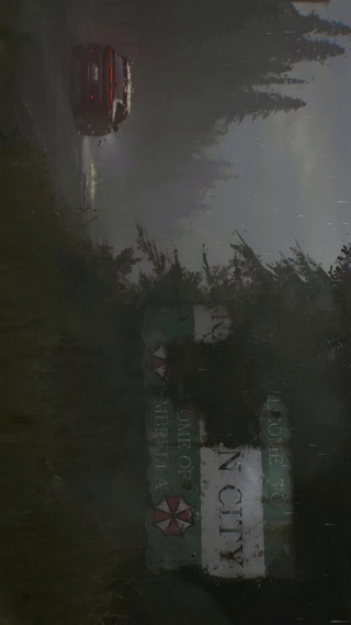 浣熊市