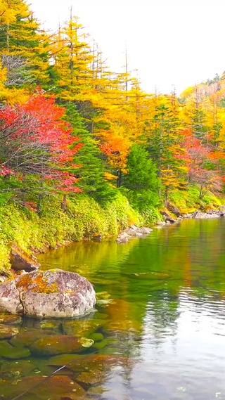 高山红叶湖