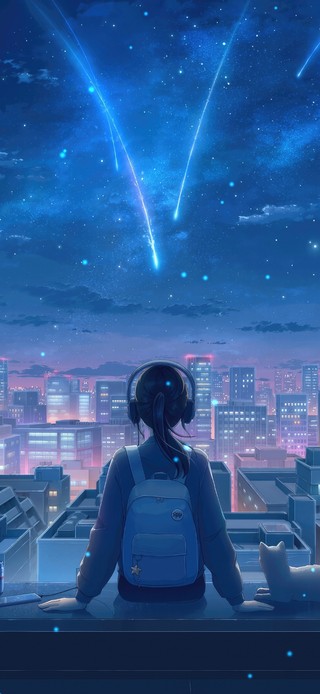 星空夜景下的一人一猫