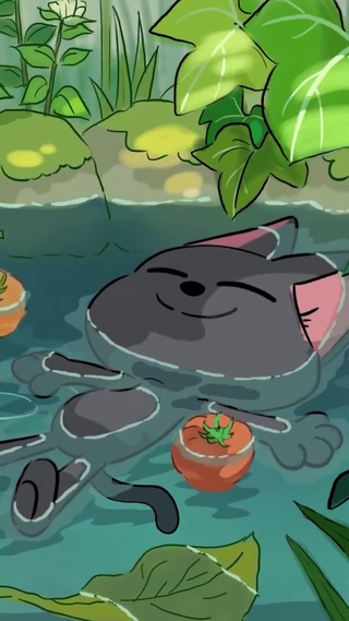 夏季山泉洗澡的猫