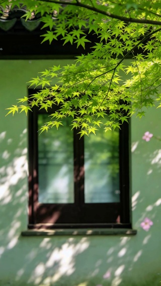 清新护眼壁纸