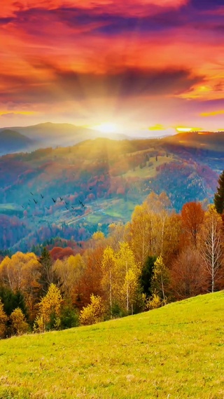 万山红遍，夕阳西下