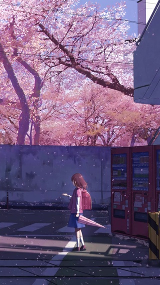 【秒速五厘米】桜花抄