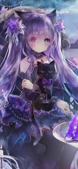 4KNeko猫咪控