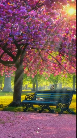 阳光正好微风不燥