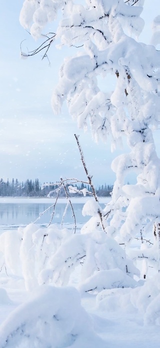 万里雪飘（含真实时间）