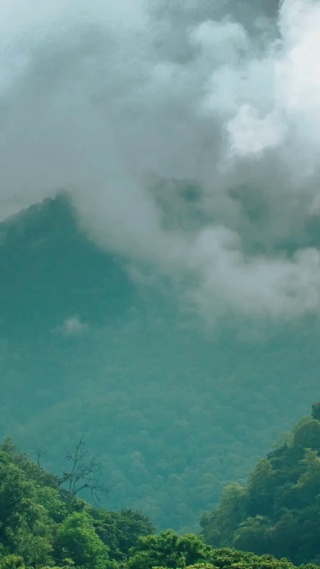 4K山顶仙境
