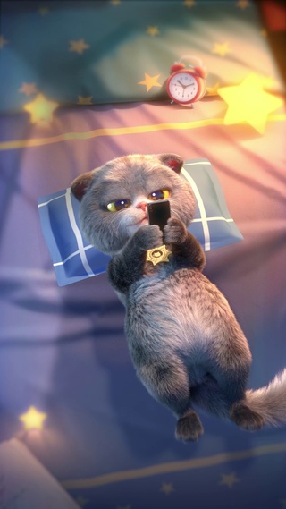 斑布猫-我也喜欢你