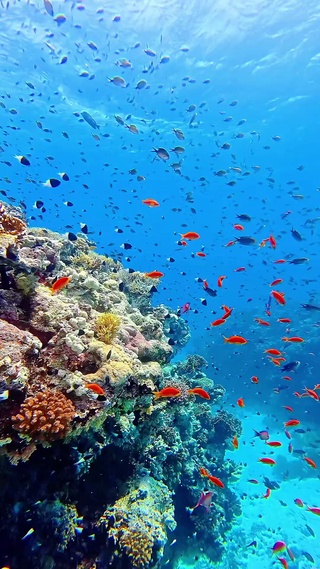 海底世界