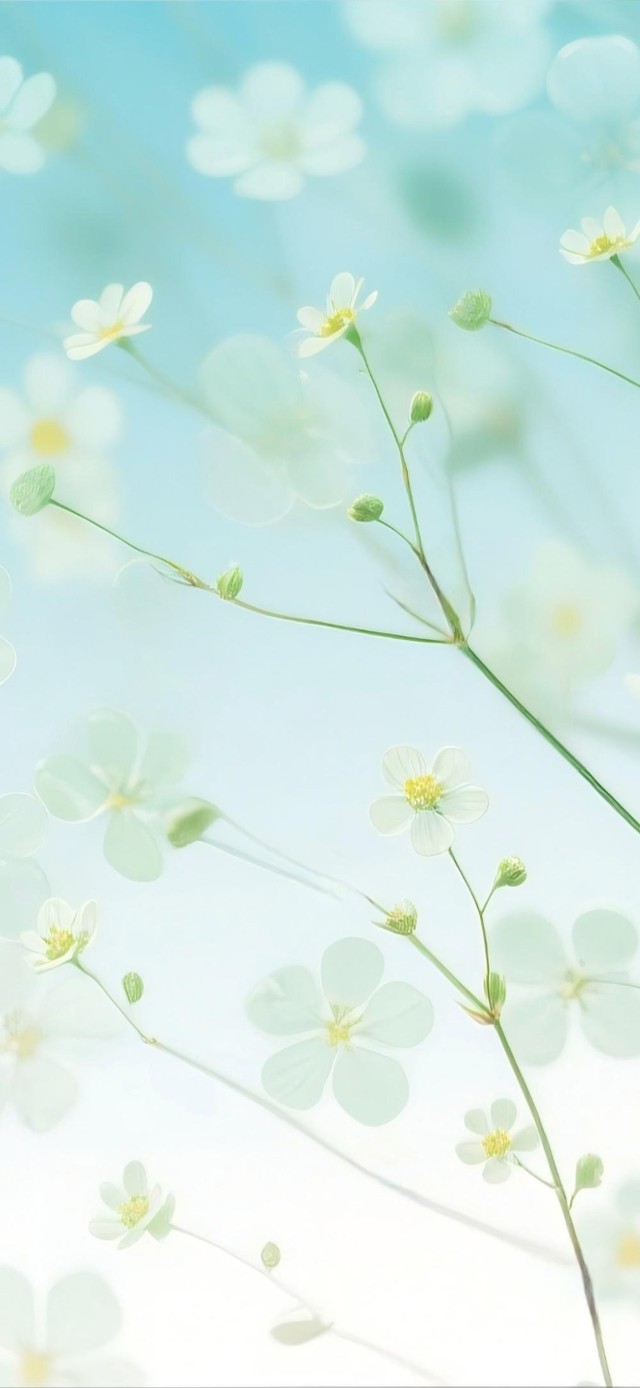 繁花虽灿唯悦独一无二的你