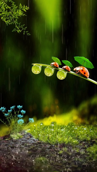 深秋已过寒露至，一场秋雨一场寒。愿所有人有衣暖身，有人暖心！