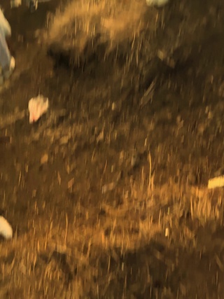 云海中国画太阳