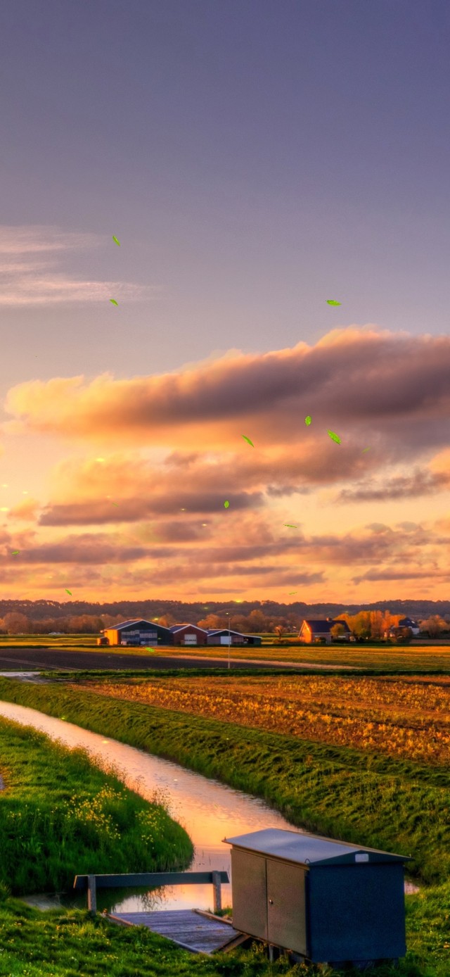 4K 唯美乡村田野