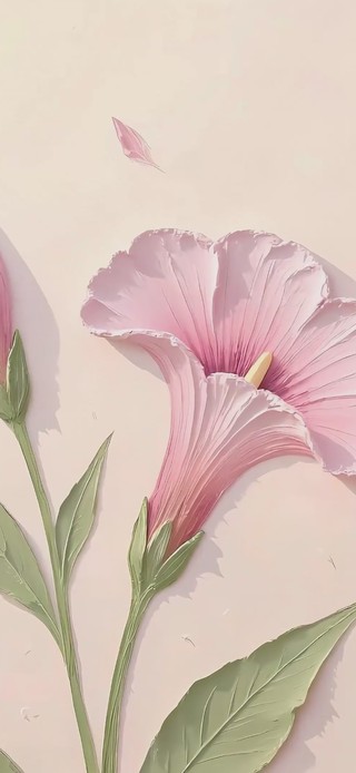 简约的粉色花朵