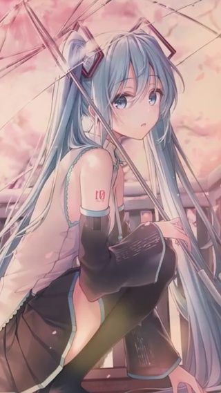 樱花树下