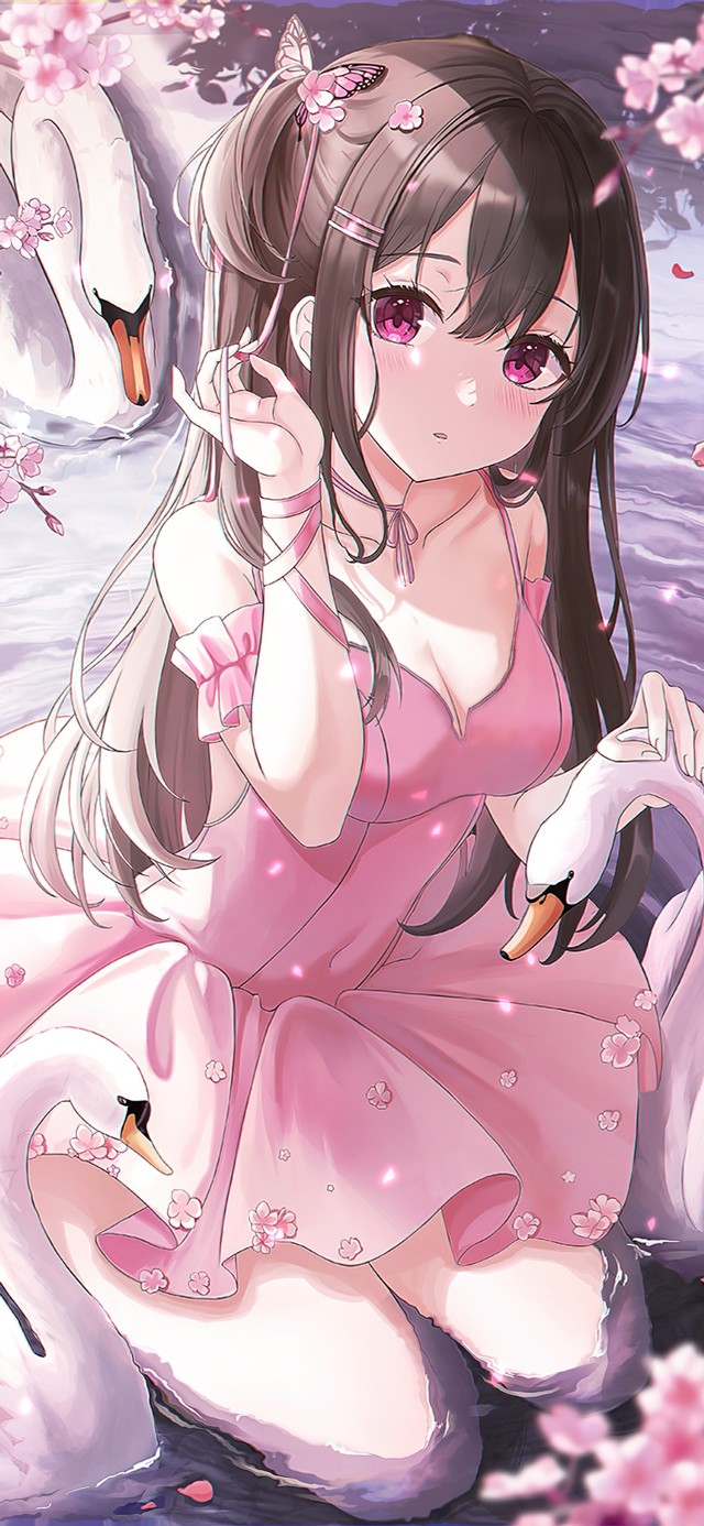 4K唯美治愈樱花天鹅湖少女