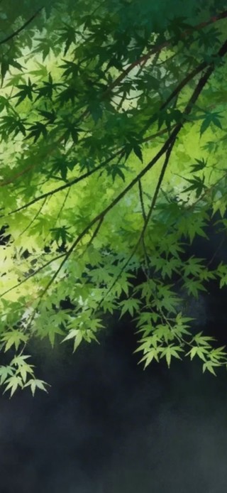 盛夏森林